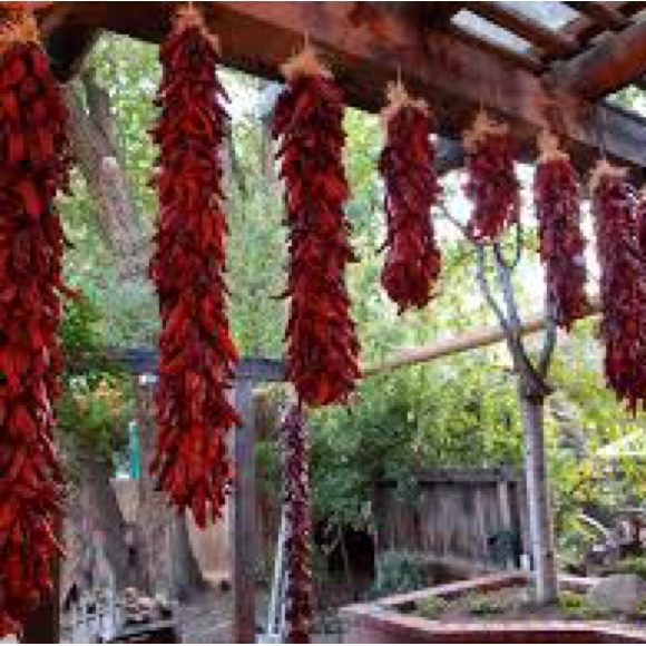 Meet your Posher, Janet - Picture 2 of 2